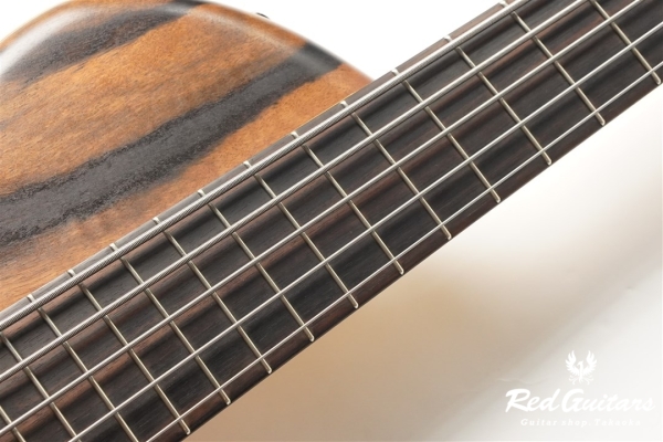 Platinum Series Single-Cut , e-volution 5 - Macassar Ebony